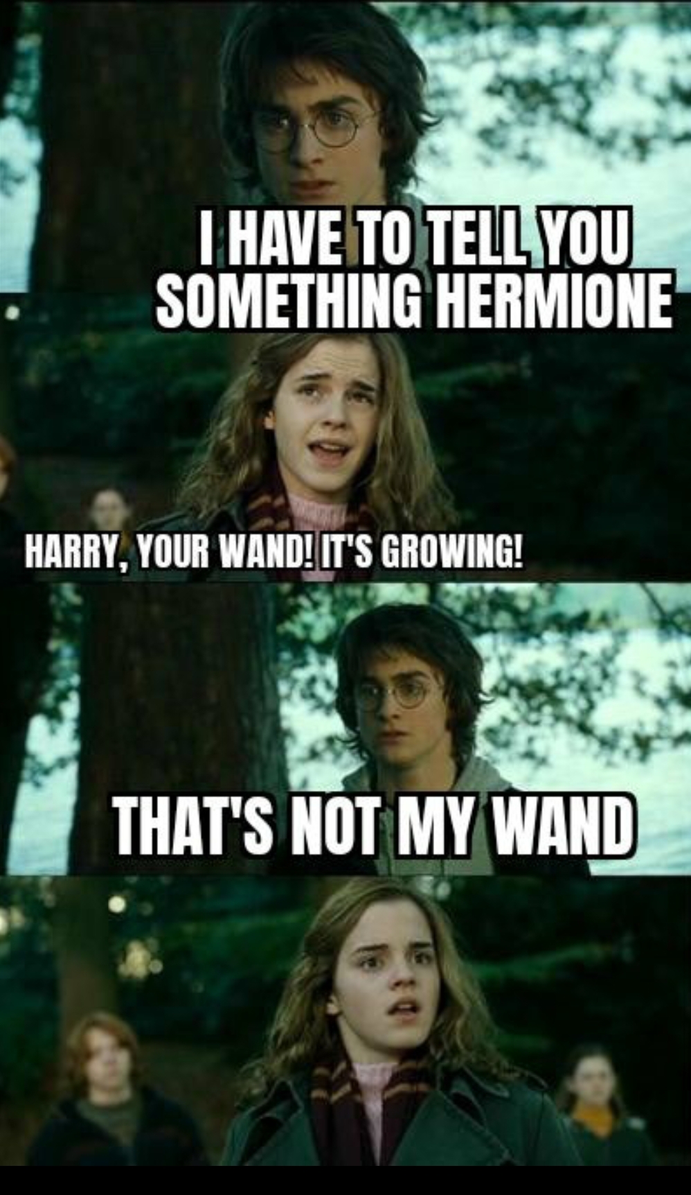 22 Of The Funniest Harry Potter Memes Ever Made