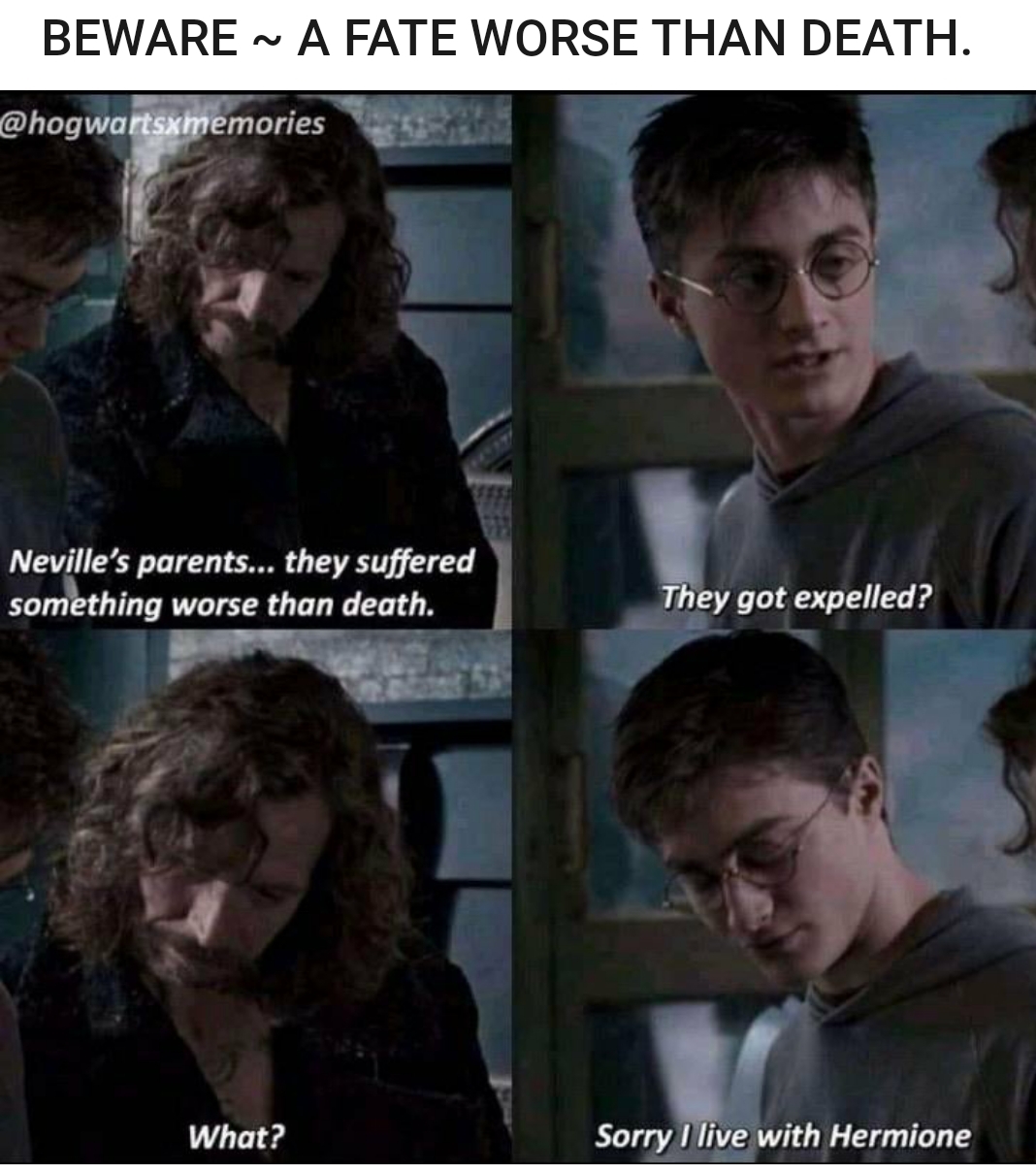 Not the smoothest approach : r/HarryPotterMemes